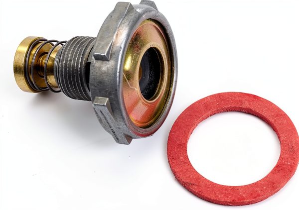 JEGS Stainless Steel Power Valve 2 Port-0
